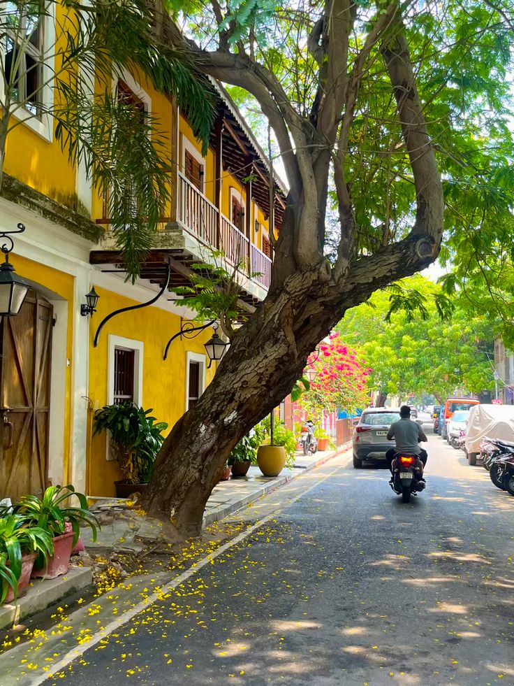 Field notebook observation